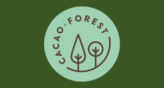 logo_cacao_forest