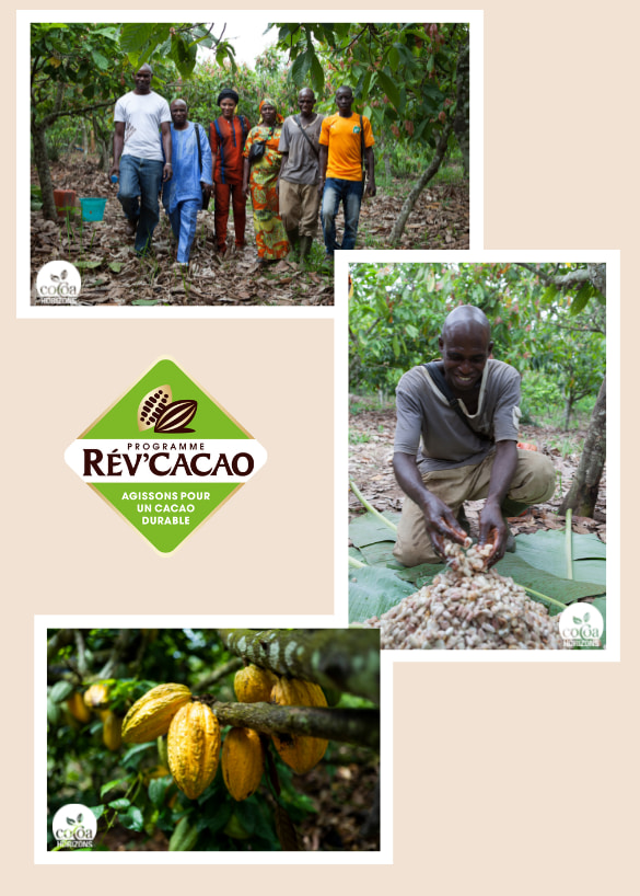 programme-rev-cacao.jpg